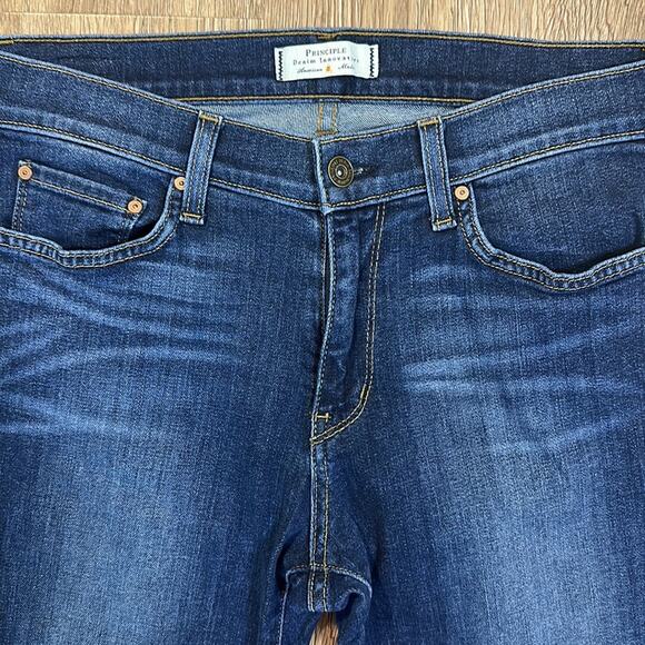 Principle Denim the Dreamer Skinny Jean - Picture 4 of 8